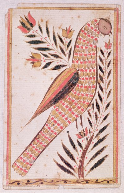 Vogel von American School